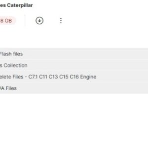 FLASH FILES AND DELETES CATERPILLAR